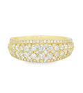 Arya's Collection Diamond Framed Pave Band