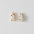 Sabrina Dangle Earring