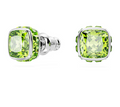 Swarovski Consumer Goods Birthstone Stud Earrings